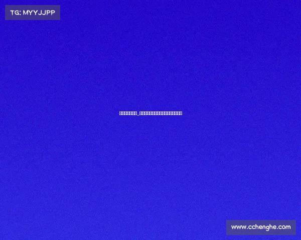 恒大在上海赛事_恒大上海赛事精彩表现与未来征程回顾